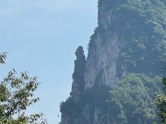 -王莽岭风景区