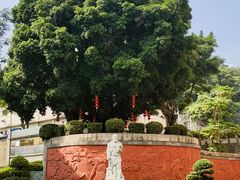 -广州神农草堂中医药博物馆