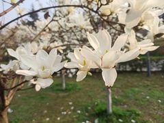 -成都中医药大学(温江校区)