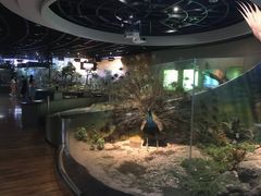 -陕西自然博物馆