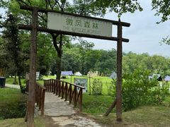 -宜兴龙背山森林公园