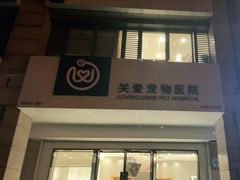 -关爱宠物医院·猫科中心·消化科(滨湖万达分院)