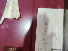 -安阳博物馆