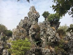 -粤晖园