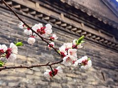 -罔极寺