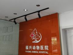 -瑞派福兴宠物医院犬猫全科·骨科·中西医结合(河东店)