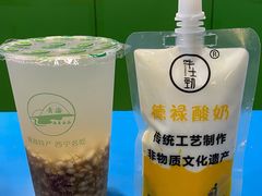 -德禄酸奶(莫家街店)