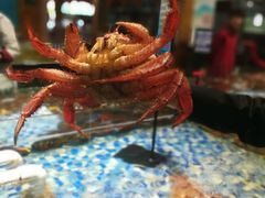 -森谷美食公园(杨行店)