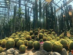 -南山植物园