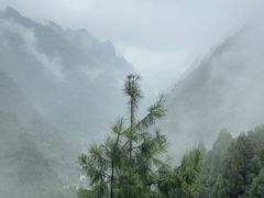 -娄山关景区