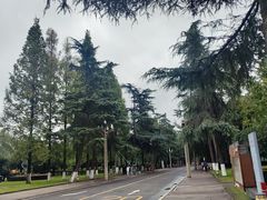 -四川大学(华西校区)