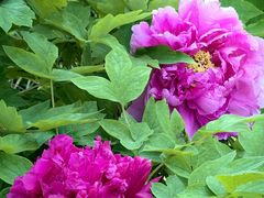 -苏州河梦清园环保主题公园