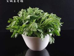 茼蒿-火锅吴彦祖(缤纷环球百富广场店)