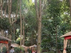 -二荆条·蜀鲜汇城市森林火锅