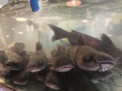 -湄公河秘制烤鱼(西双十贰城商业中心店)