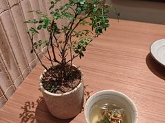 -CURRY YA 熟成咖哩專門店(深圳湾万象城店)