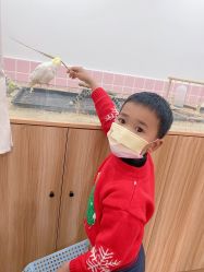 -Moni星球萌宠·小马宝莉·灵蛇·高端高阶全萌宠互动体验俱乐部(红豆国际广场店)