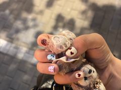 -海底捞火锅(奥森店)