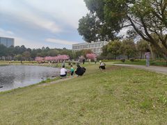 -同济大学(嘉定校区)