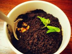 android_upload_pic-院落创意菜