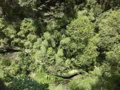 -神龙峡风景区