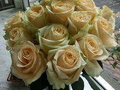 -蝶舍·MAISON PAPILLON