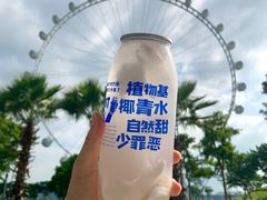 -蔻蔻椰·鲜萃椰子水(欢乐港湾店)