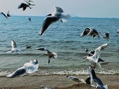 -青岛第一海水浴场