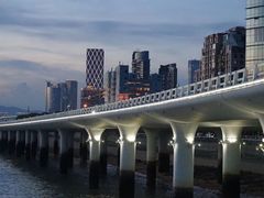 -演武大桥观景平台