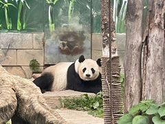-南昌动物园
