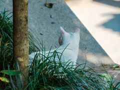 -杭州上天竺法喜讲寺