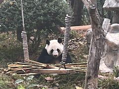 -南宁市动物园