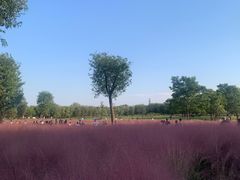 -汉长安城未央宫国家考古遗址公园