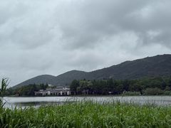 -长广溪湿地公园