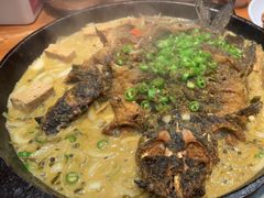 -老板恋上鱼(振华商厦店)