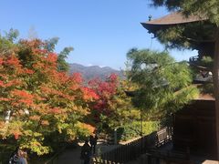-常寂光寺