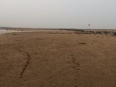 -刘家湾赶海园