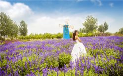 -伊诺摄影(徐州优选店)