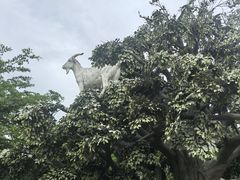-盈香心动乐园