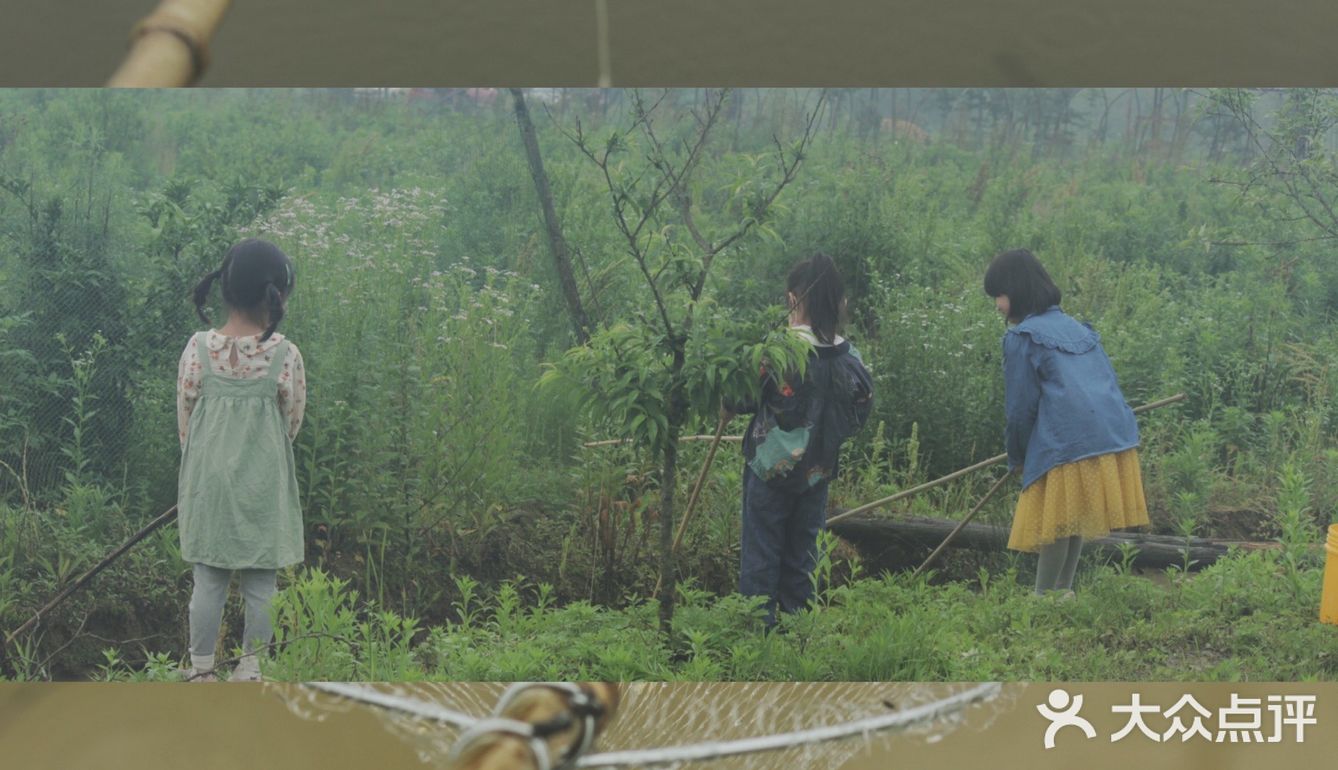 武汉果乐小镇钓小龙虾，有和我一样的童年吗？