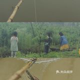 武汉果乐小镇钓小龙虾，有和我一样的童年吗？