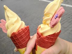 -麦当劳(农光里店)