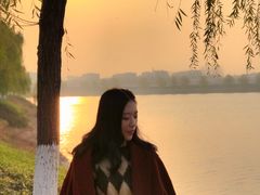 -羊山湖公园