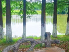 -艾溪湖湿地公园