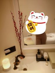 -奥斯芬·欧系贵族SPA