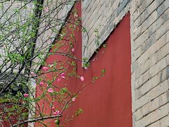 -西安市广仁寺
