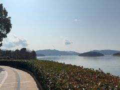 -逸廊大堂吧-下午茶·简餐-千岛湖自由洲际殿