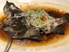 -锦粤宫·精致粤菜(深圳北站店)