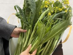 -罗浮山·罗园农庄