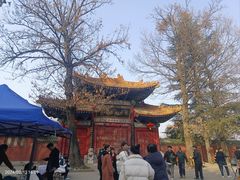 -终南山古楼观历史文化景区